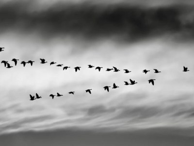 WHEN LEADERSHIP IS REAL, WE DON’T NEED KPIs TO SEE&nbsp;IT